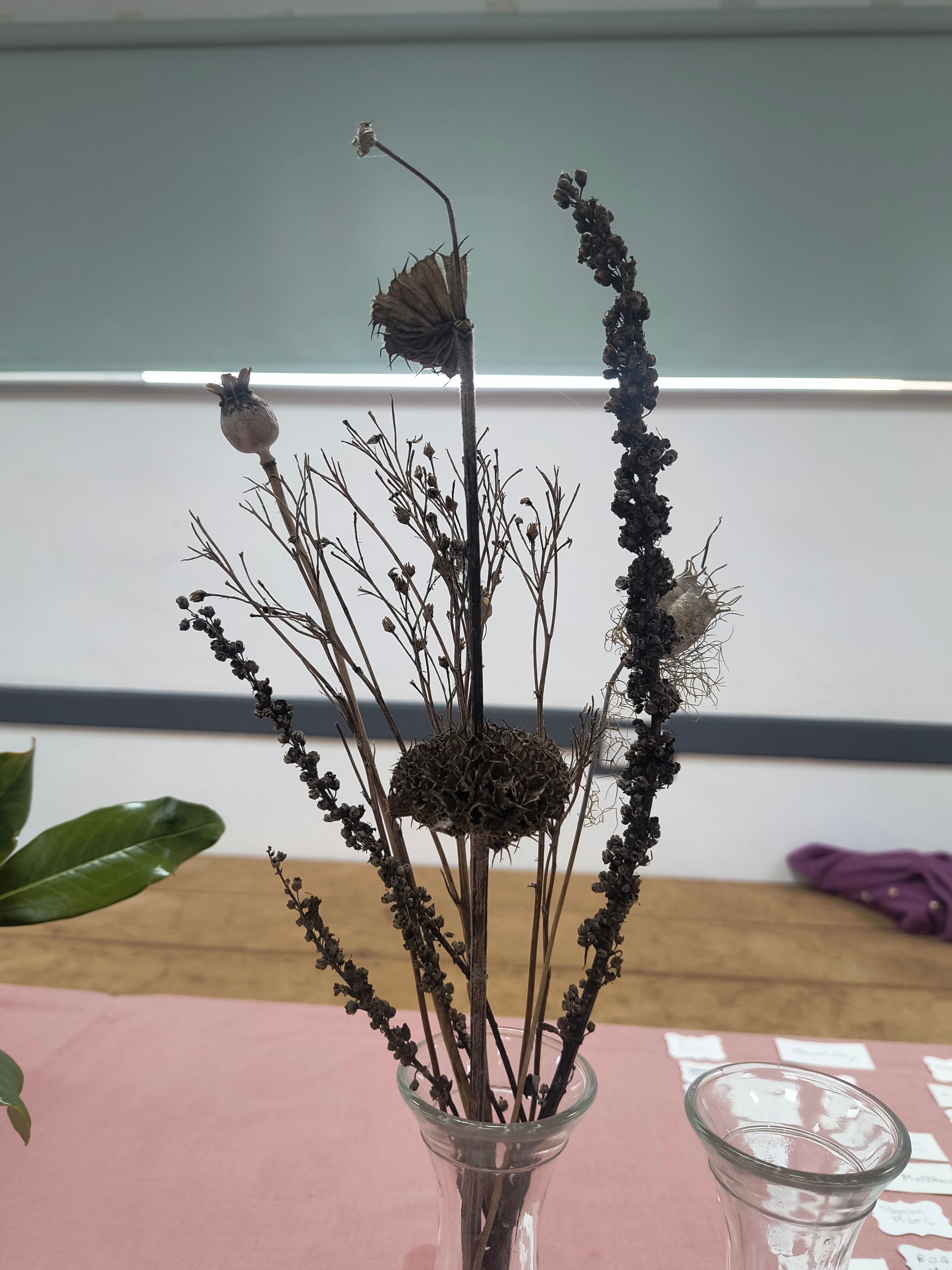 Photo shows an arrangement of dried flower heads