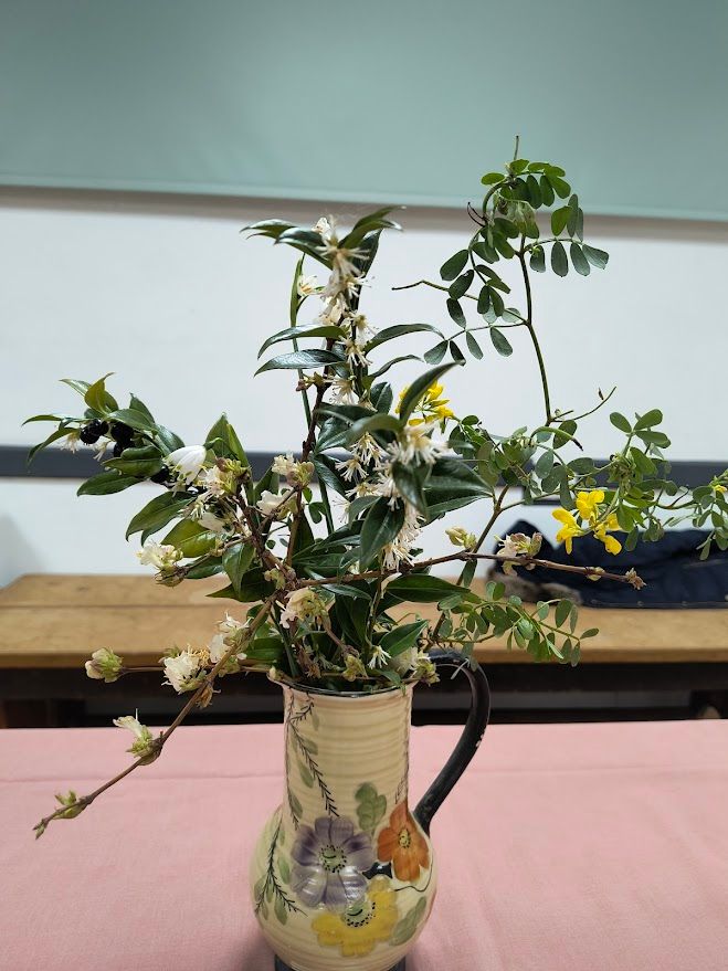Photo shows Christmas box (sarcocca confusa) and winter jasmine in beige jug with flower decoration