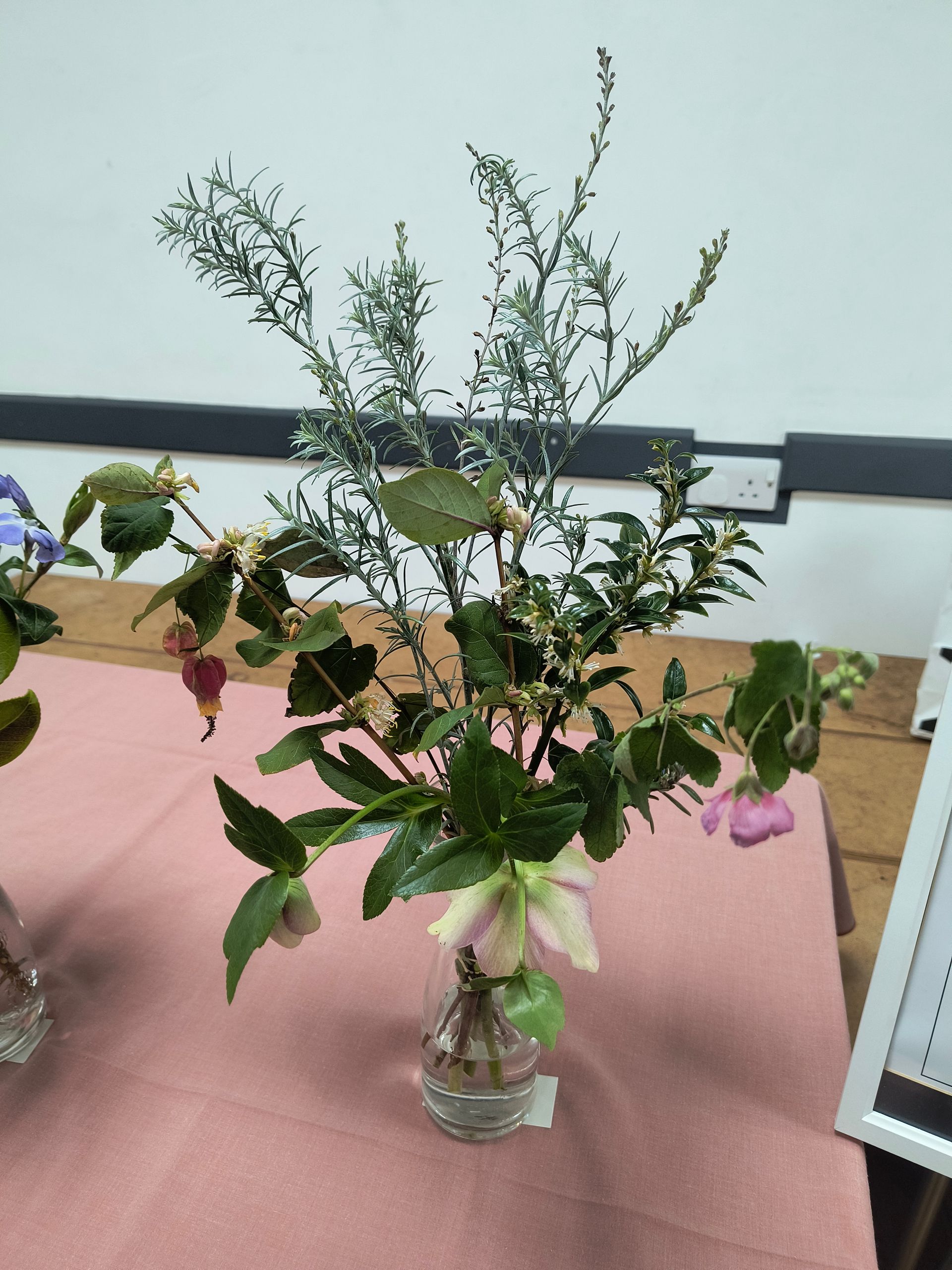 3rd prize Sue V an arrangement of sarcocca confusa and unidentified crimson and yellow flowers