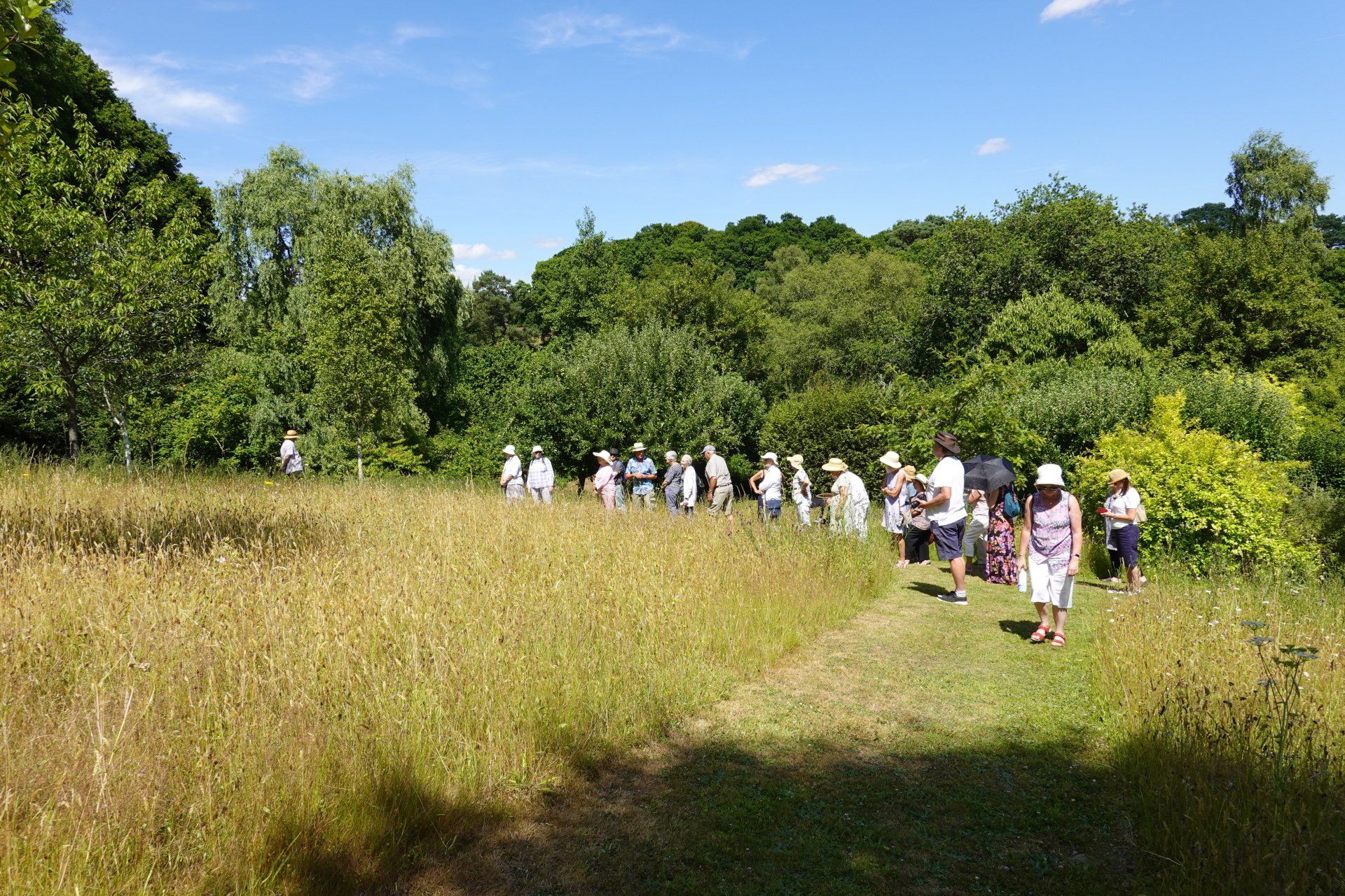 Members admire the meadow