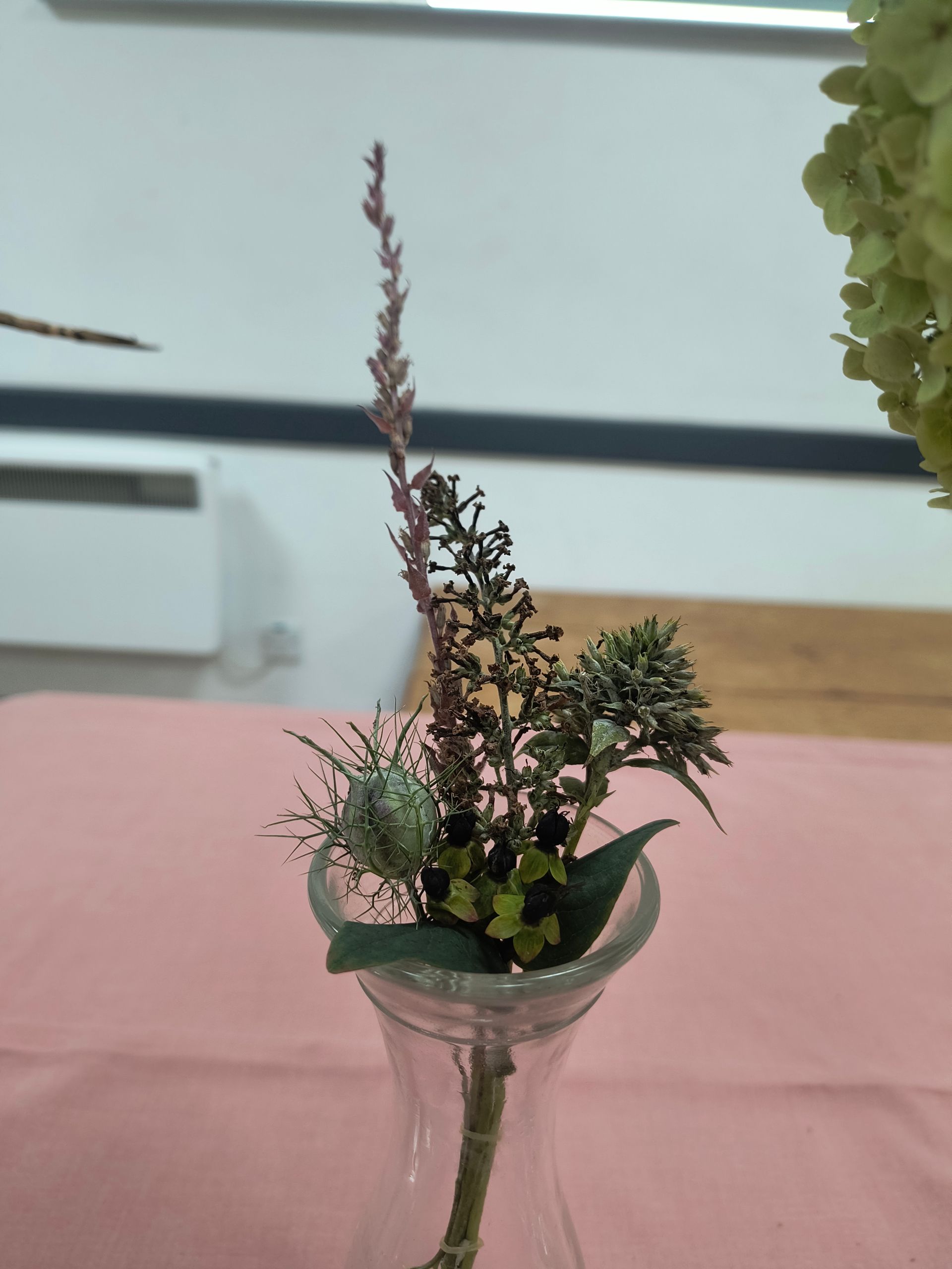 Photo shows an arrangement of dried flower heads