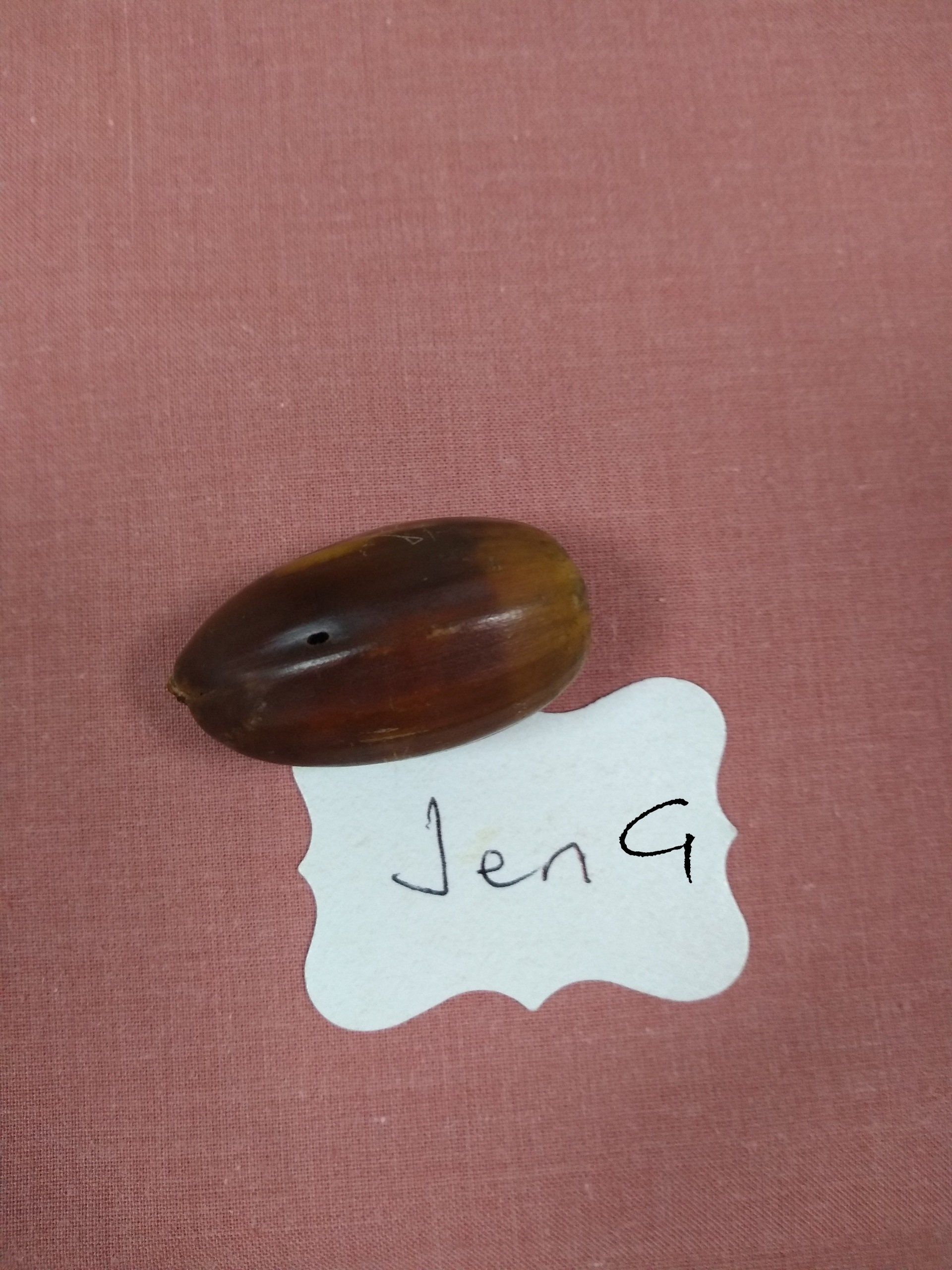Jen G''s winning acorn
