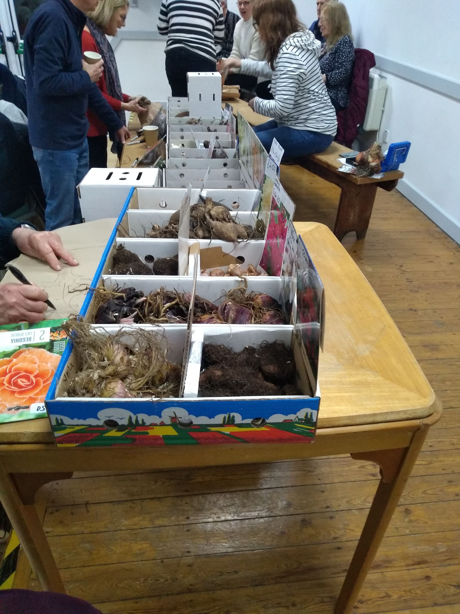 Members enjoyed looking at and purchasing a range of bulbs