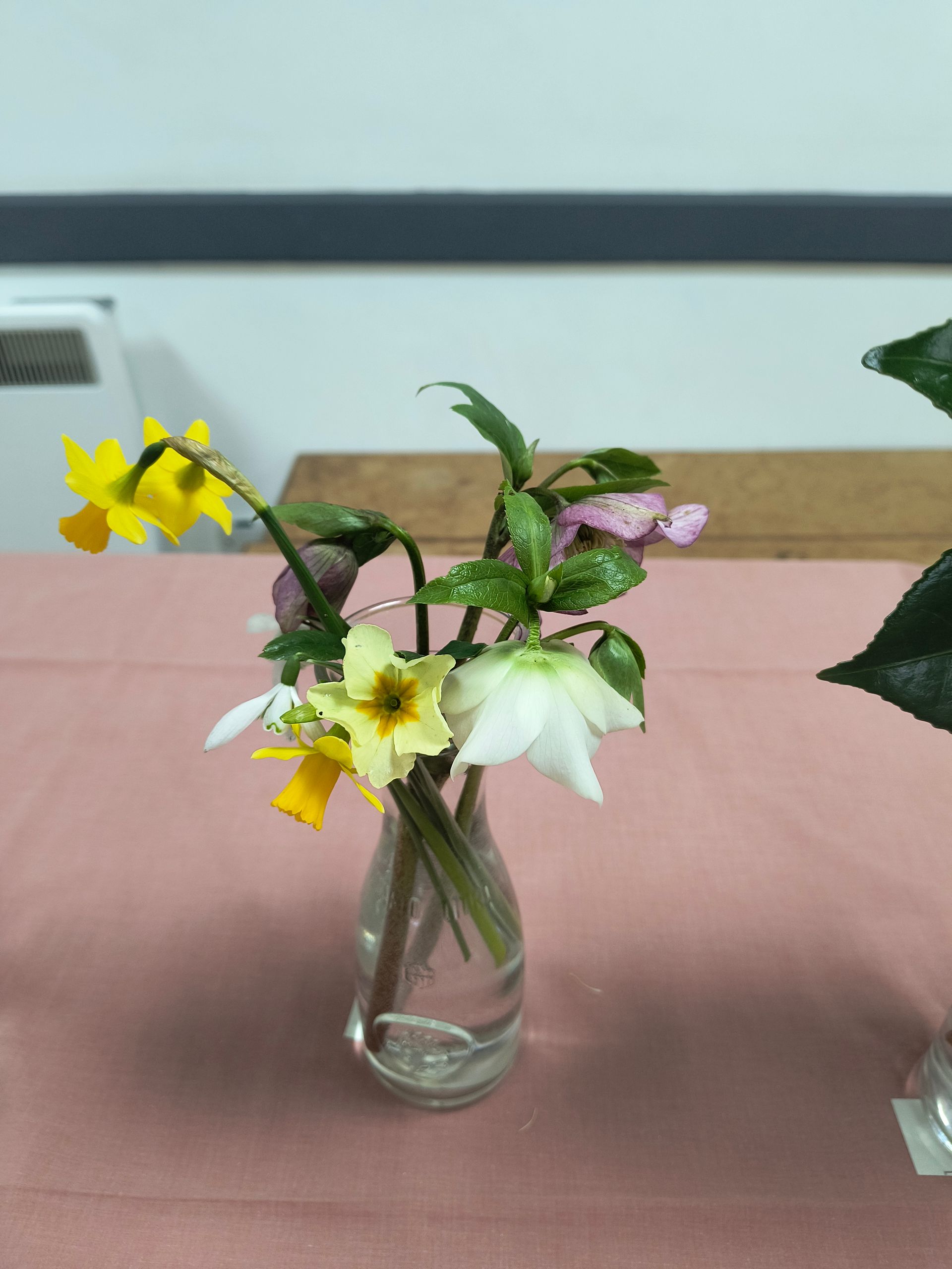An arrangement of purple and white hellebore, a snowdrop and narcissi
