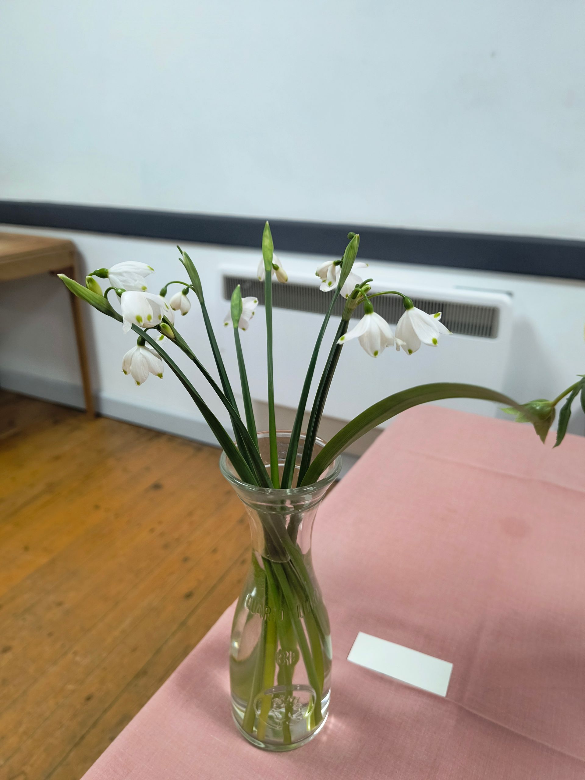 an arrangement of snowdrops