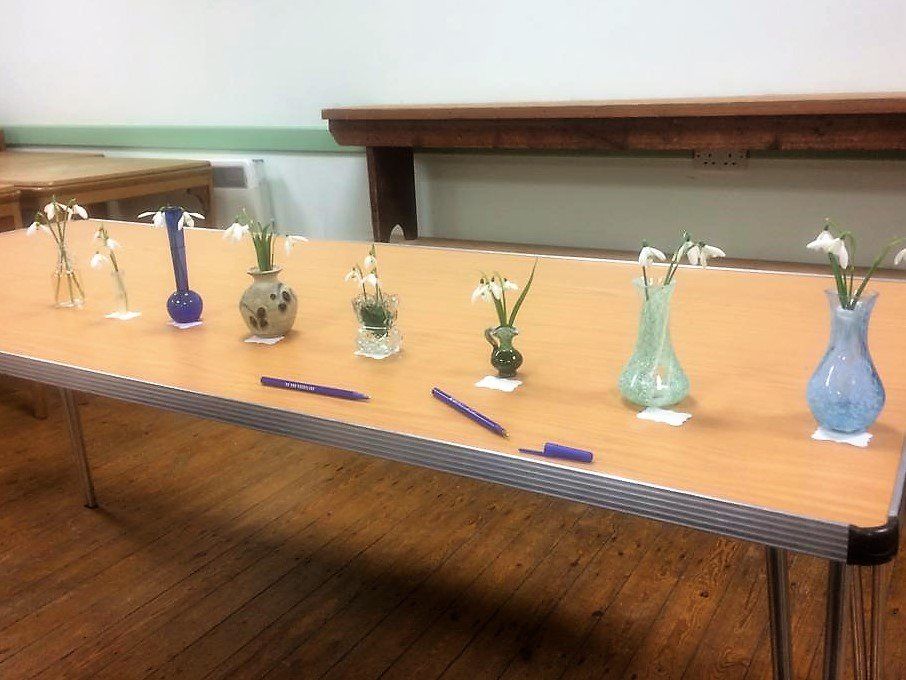 Snowdrop competition entries
