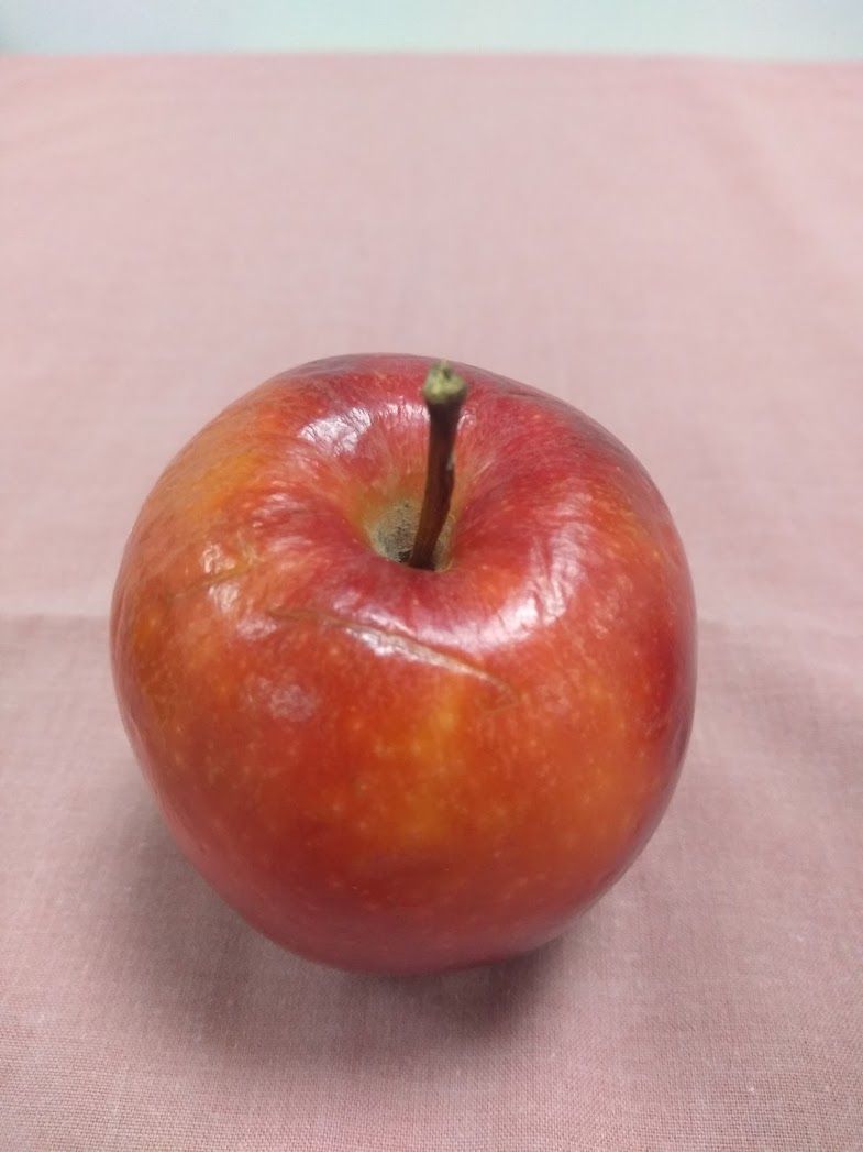 Photo of red and yellow streaked apple