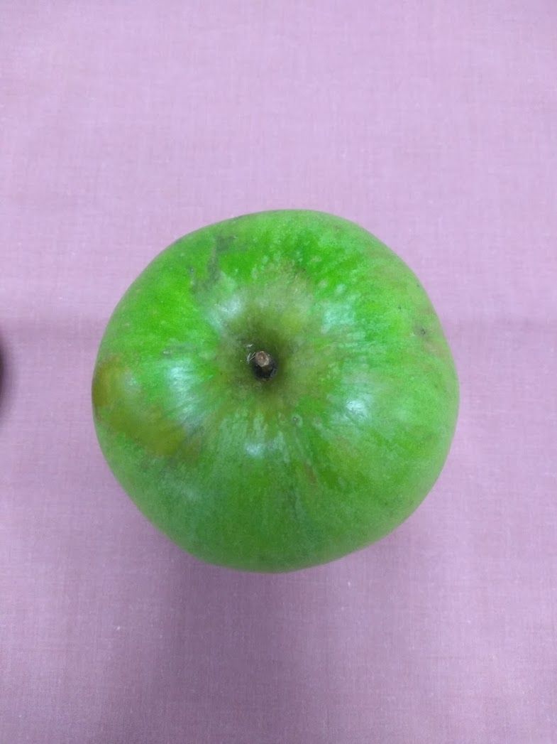 Photo of green apple