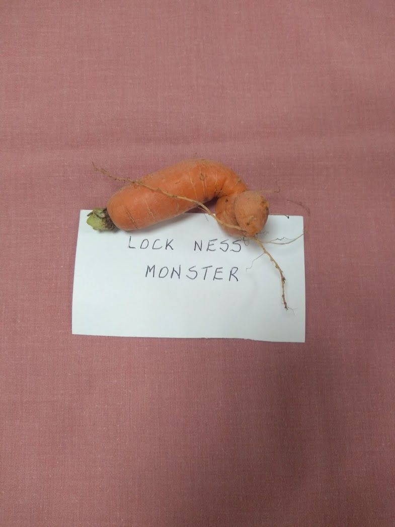 Photo of carrot shaped a little like the loch ness monster