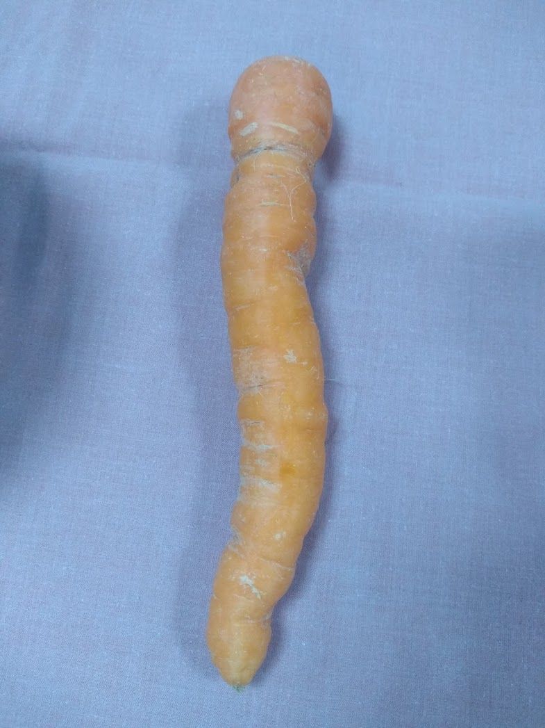 Photo of a slightly distorted carrot