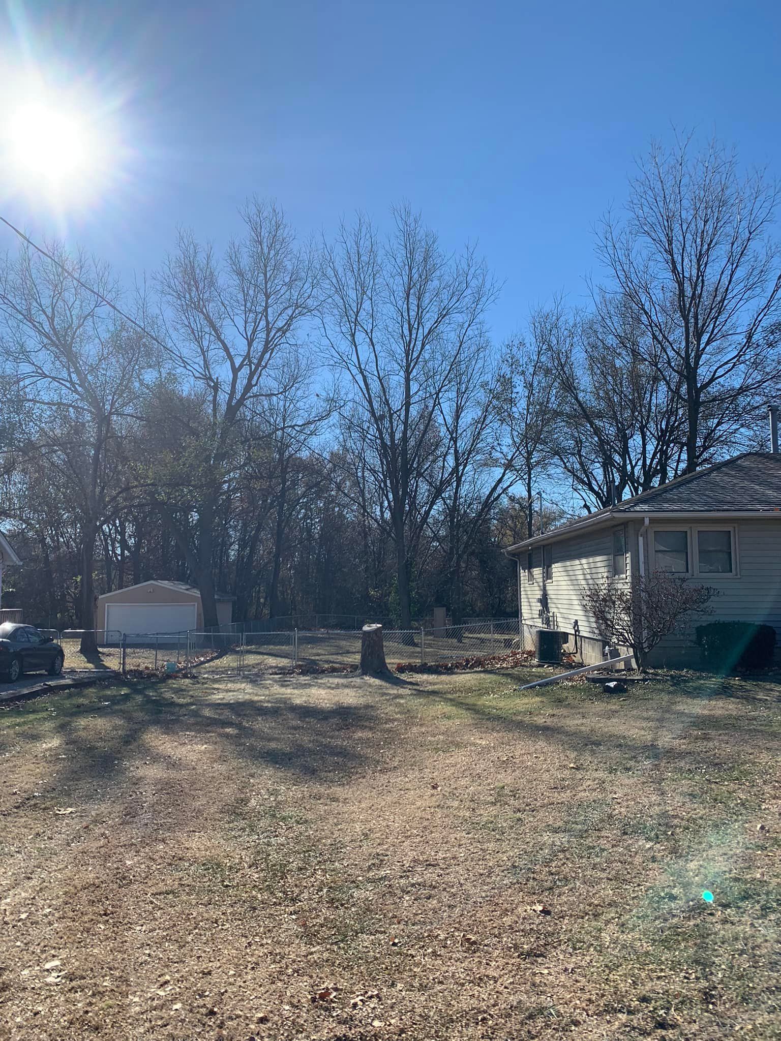 Sunny day view of a yard with leafless trees, a small house, and a partially visible car.