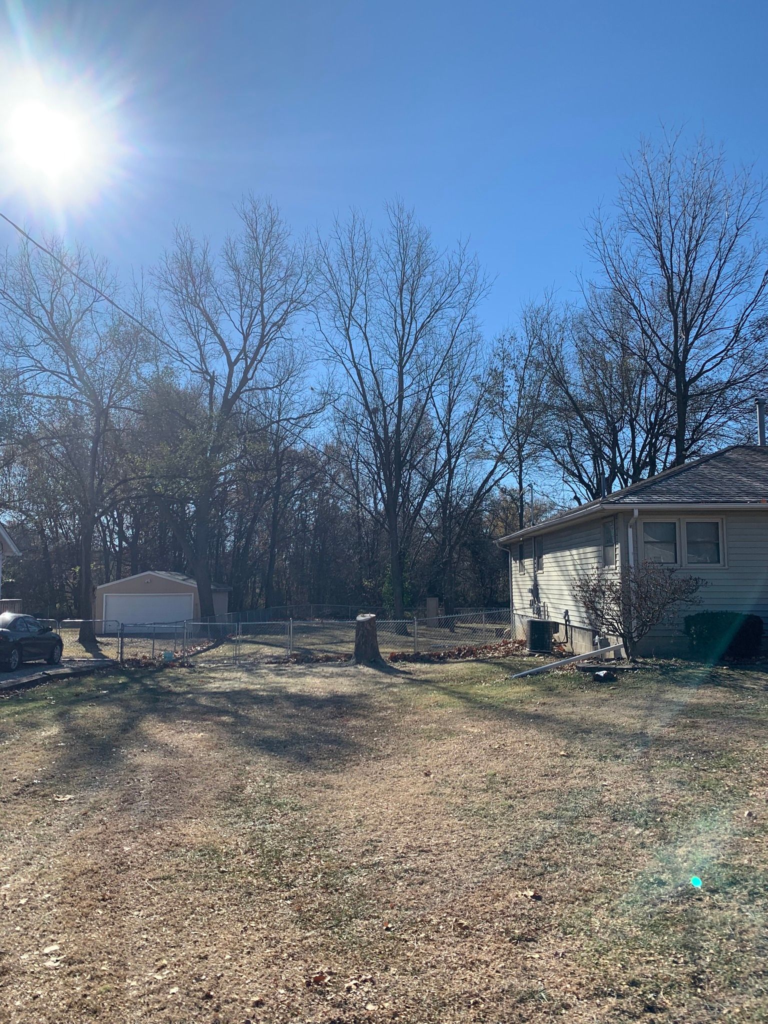 Bright sunny day outdoors; a grassy yard with bare trees, a small house on the right, and a sign on the left.