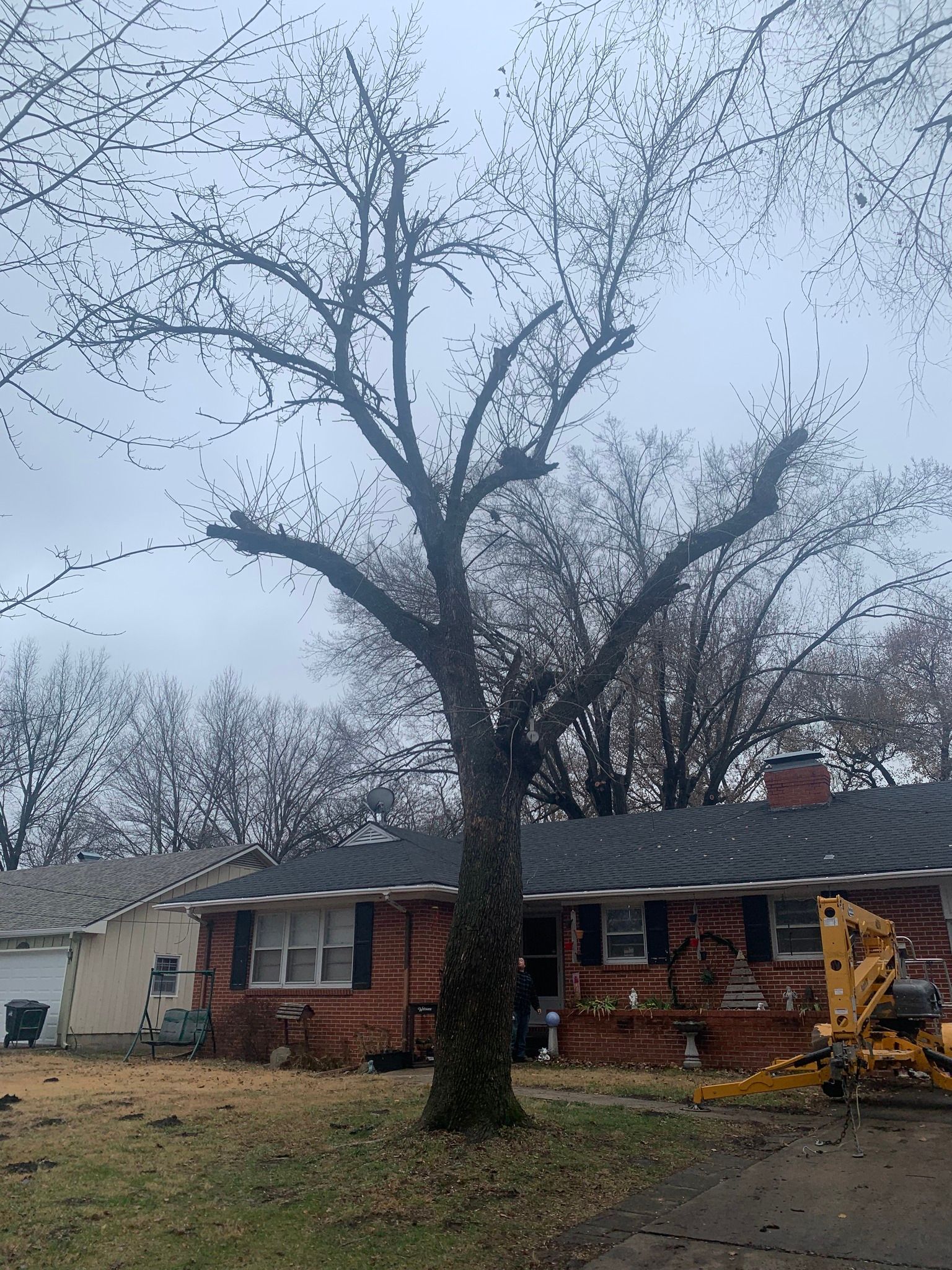 Bare tree in front of a brick house with visible branches against a cloudy sky.