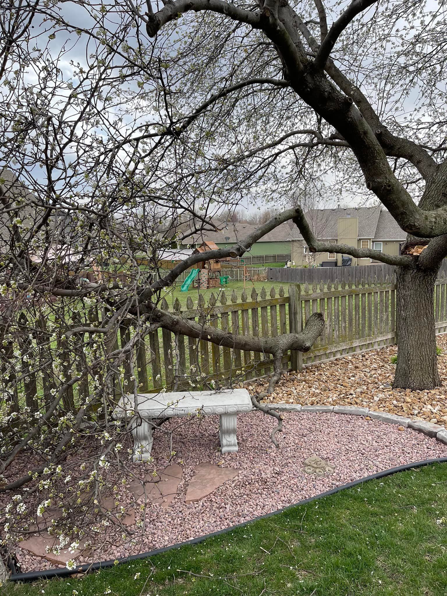 A stone bench sits under a flowering tree, petals scattered on the ground, in a backyard.