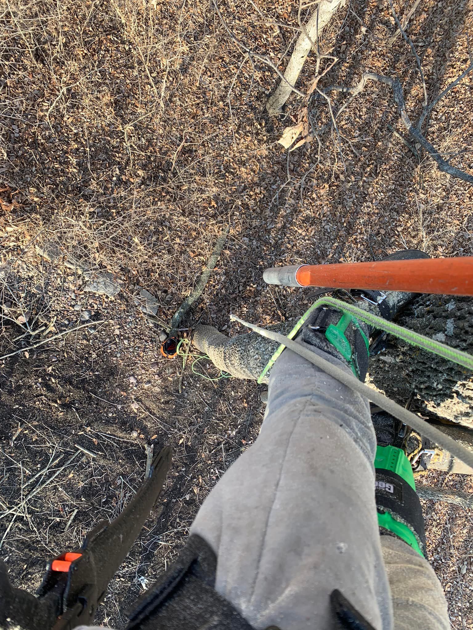 Close-up view of a person's legs and gloved hands, working on a power line. Tools and vegetation visible.