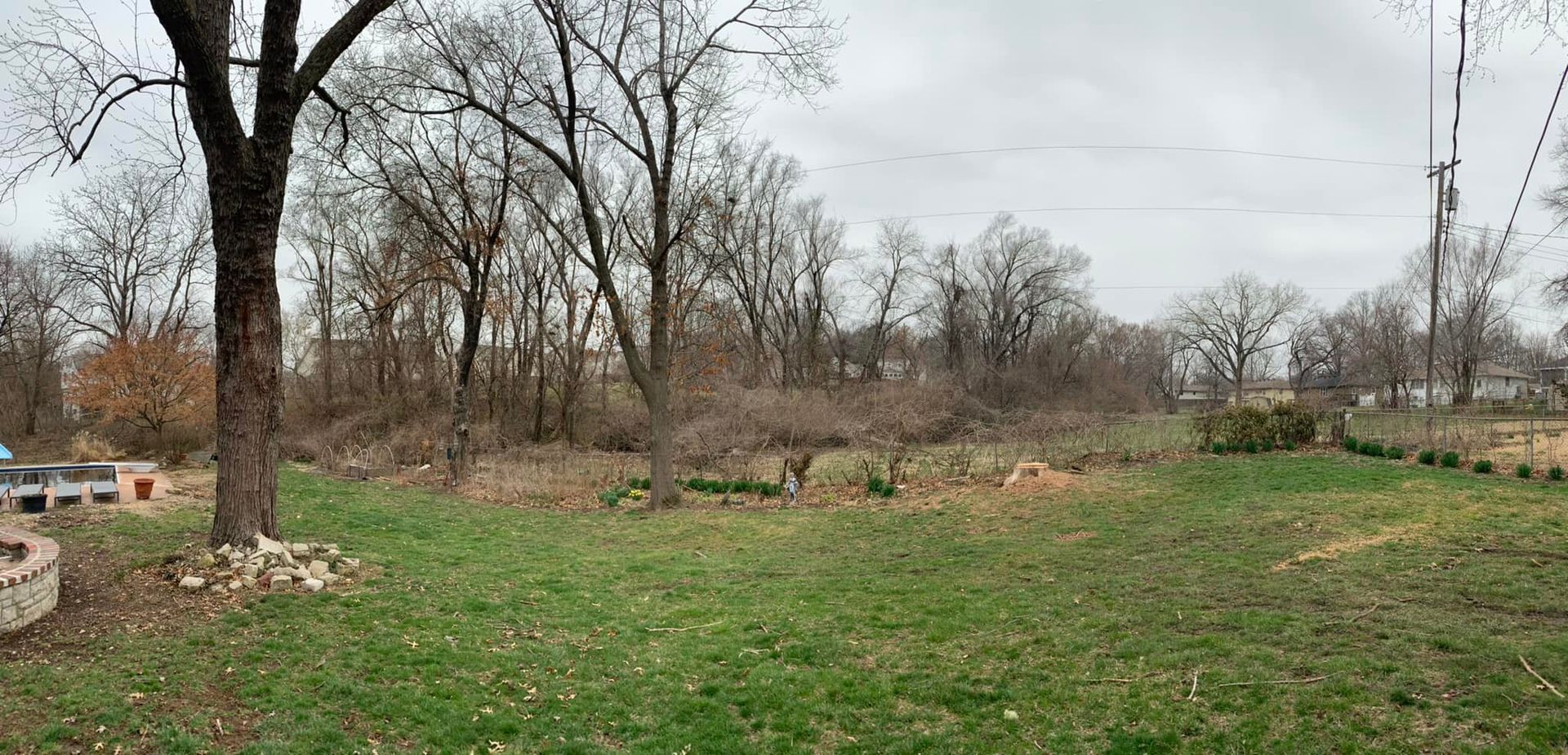 Grassy backyard with bare trees, overcast sky, and a stone border on the left.