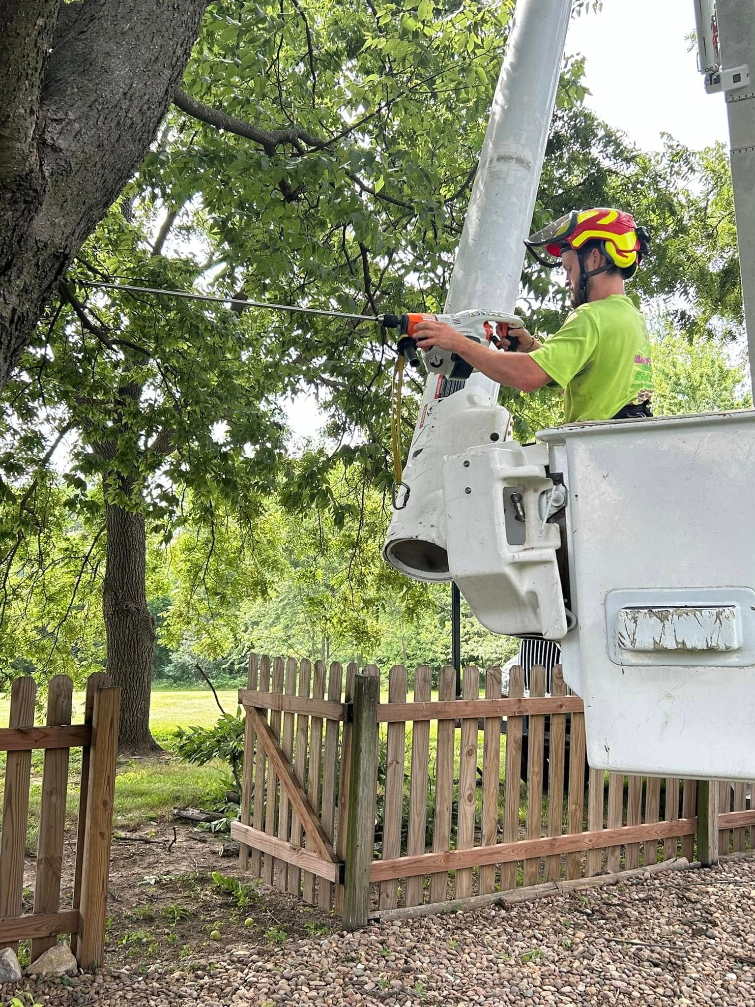 Person in a cherry picker trimming a tree, wearing a helmet and green shirt. Fence and trees in the background.