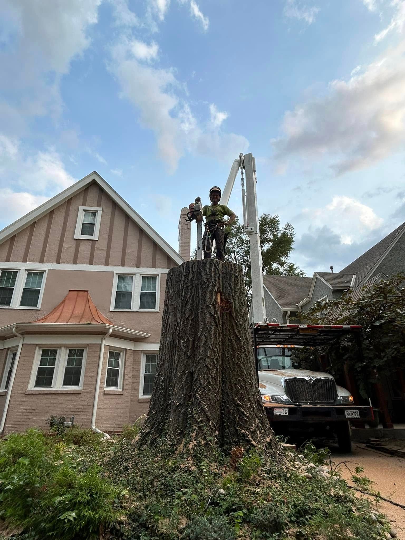 Tree service worker atop a large tree stump, using equipment next to a house under a cloudy sky.