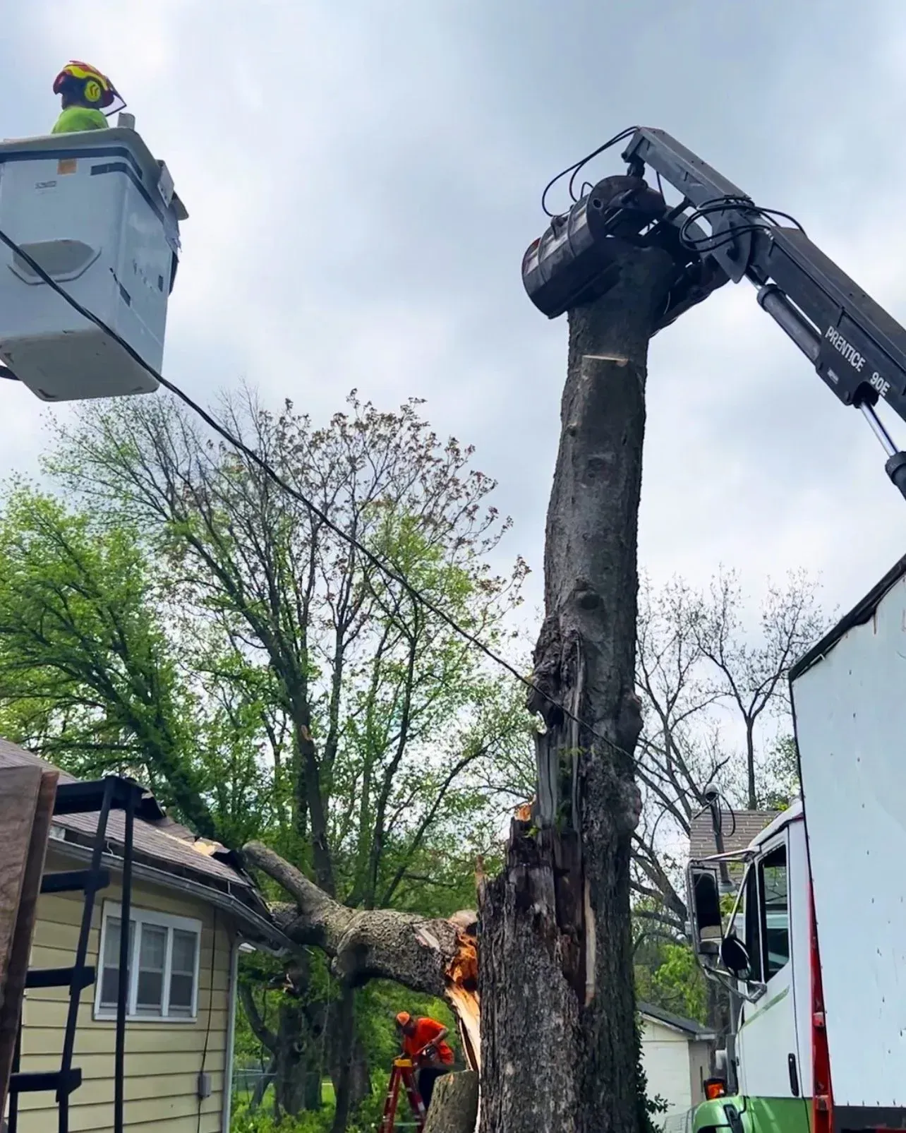 Tree being trimmed by worker in a bucket truck with a crane attachment; residential setting.