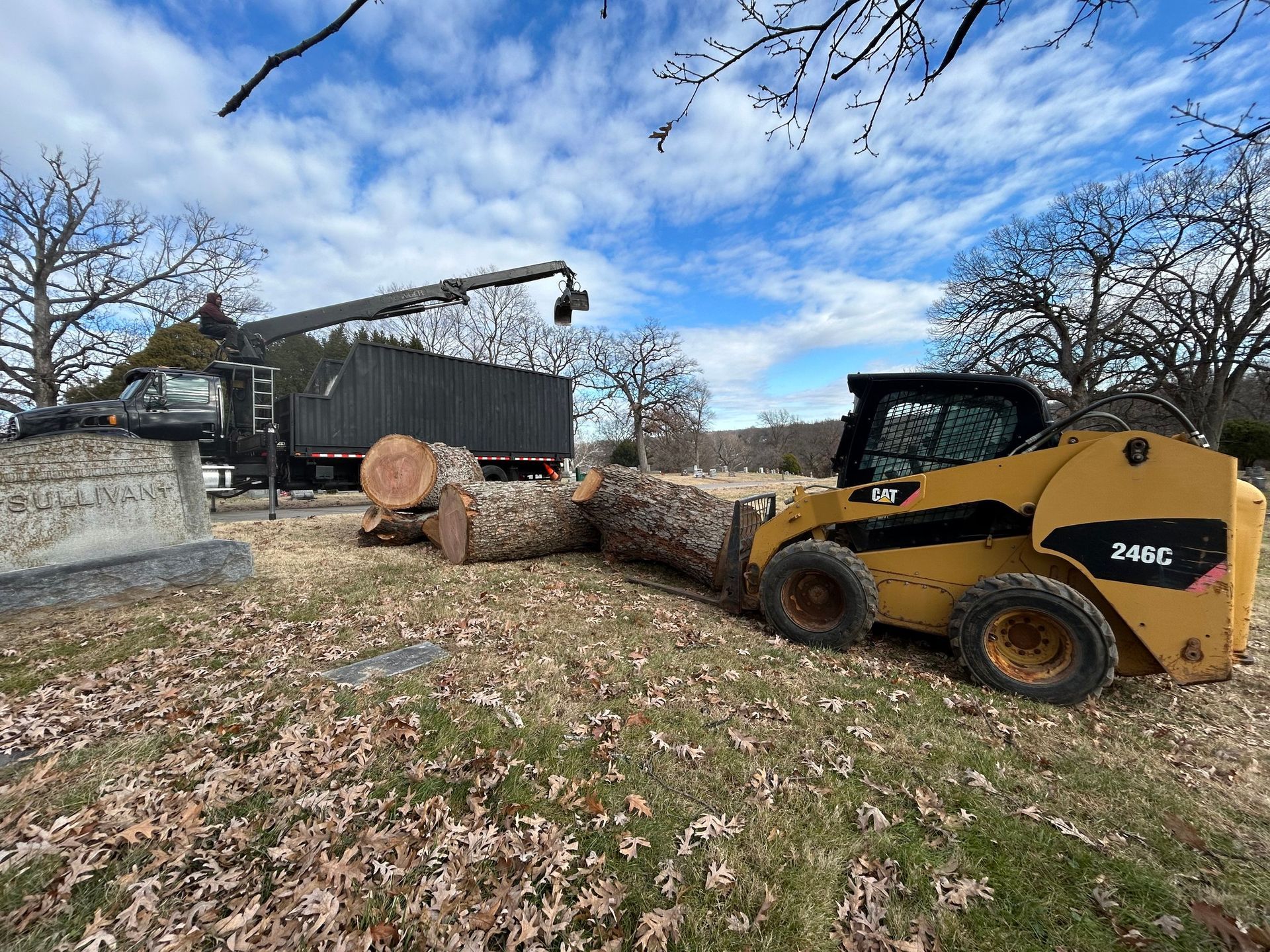 A skid steer loader moving tree logs near a truck in a cemetery on a bright day.