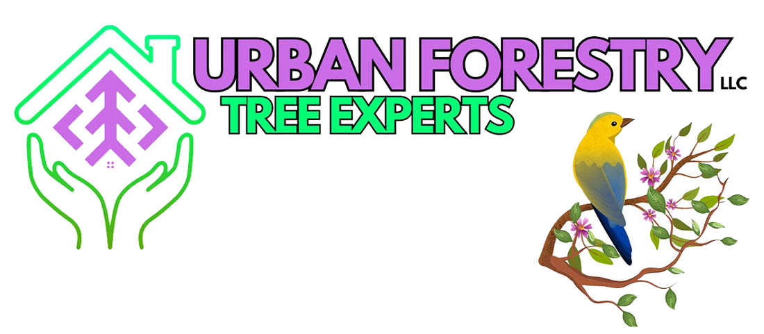 Urban Forestry LLC