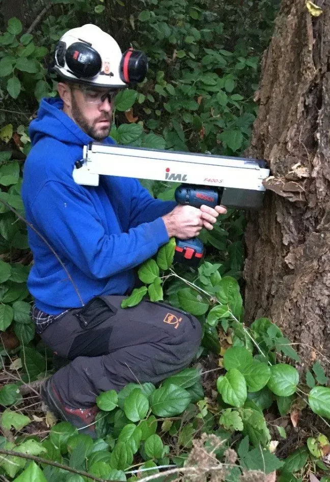 Arborist uses a device to analyze a tree trunk in a forest.
