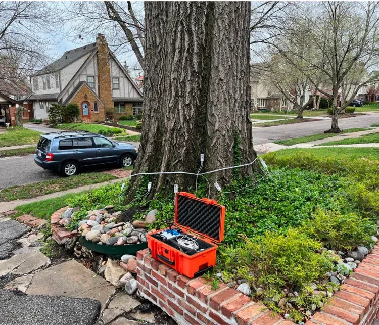 Orange case open near tree trunk with wiring and sensors. Green foliage, brick border, car, and houses in background.