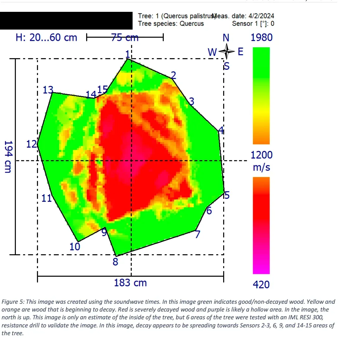 Color-coded velocity map of a rectangular area, ranging from green (low) to red (high), with measurements and annotations.