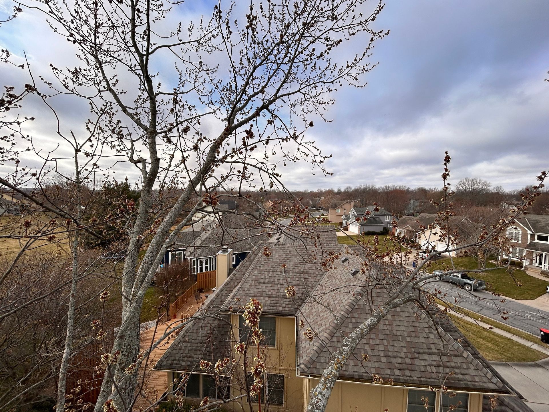 Bare tree branches frame a view of houses with gray roofs under a cloudy sky.