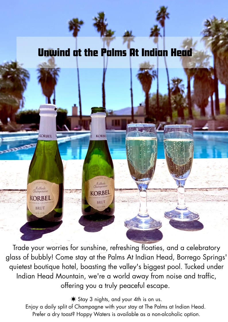 Two bottles of wine and two glasses of wine are sitting next to a pool.