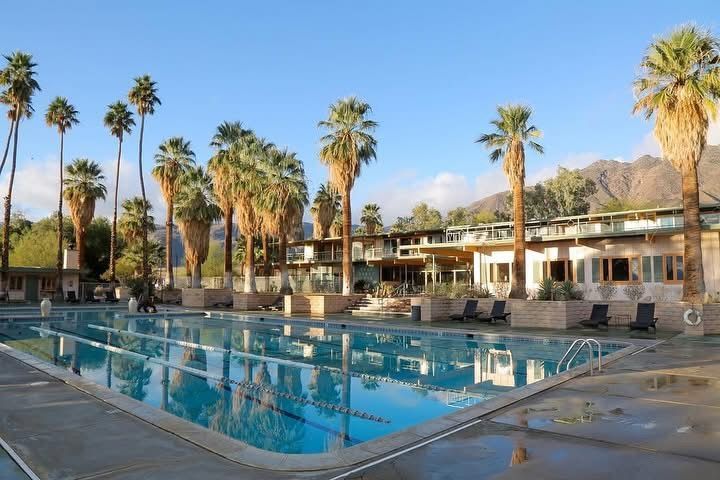 A large swimming pool surrounded by palm trees and chairs