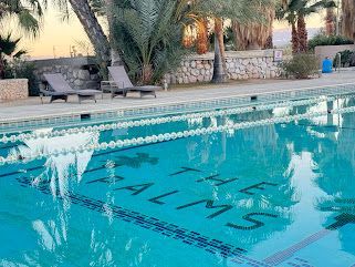 A large swimming pool surrounded by palm trees and chairs.