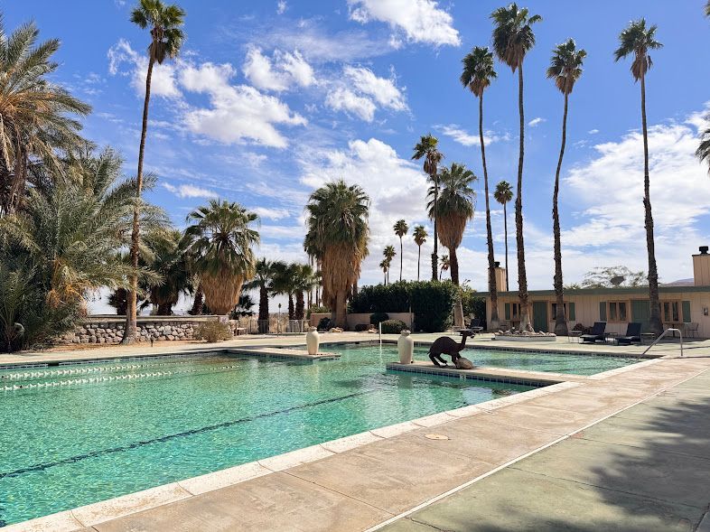 A large swimming pool surrounded by palm trees and a building.