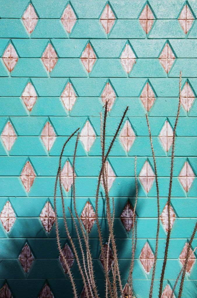 A blue wall with diamonds on it and a plant in front of it