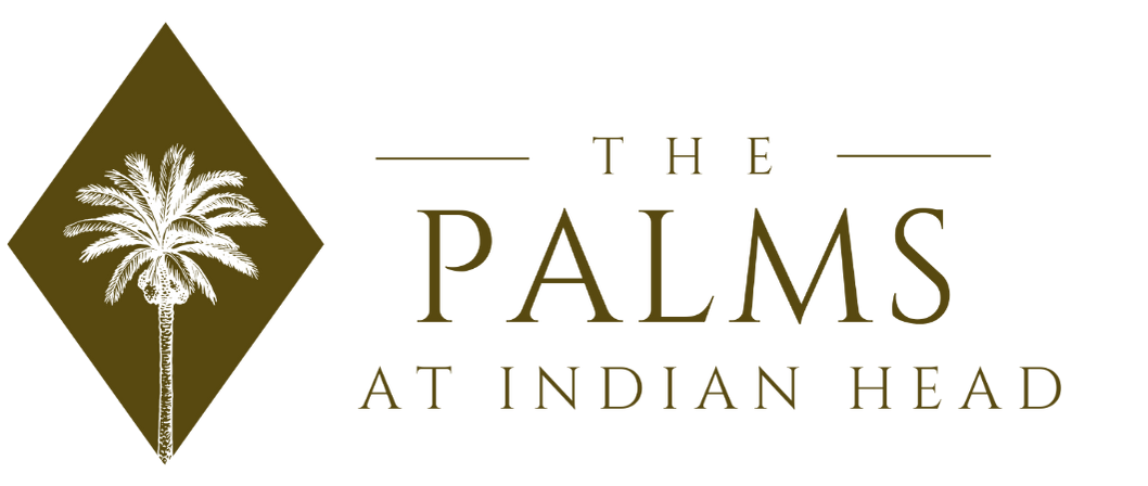 A logo for the palms at indian head with a palm tree in a diamond.