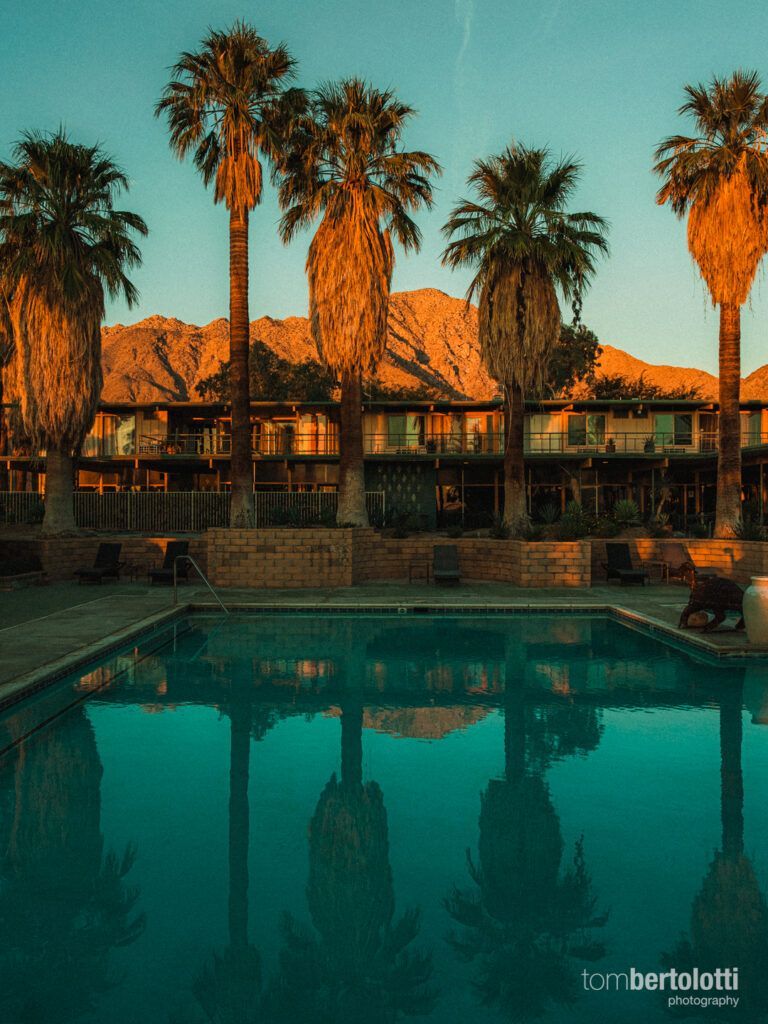 A swimming pool with palm trees and mountains in the background