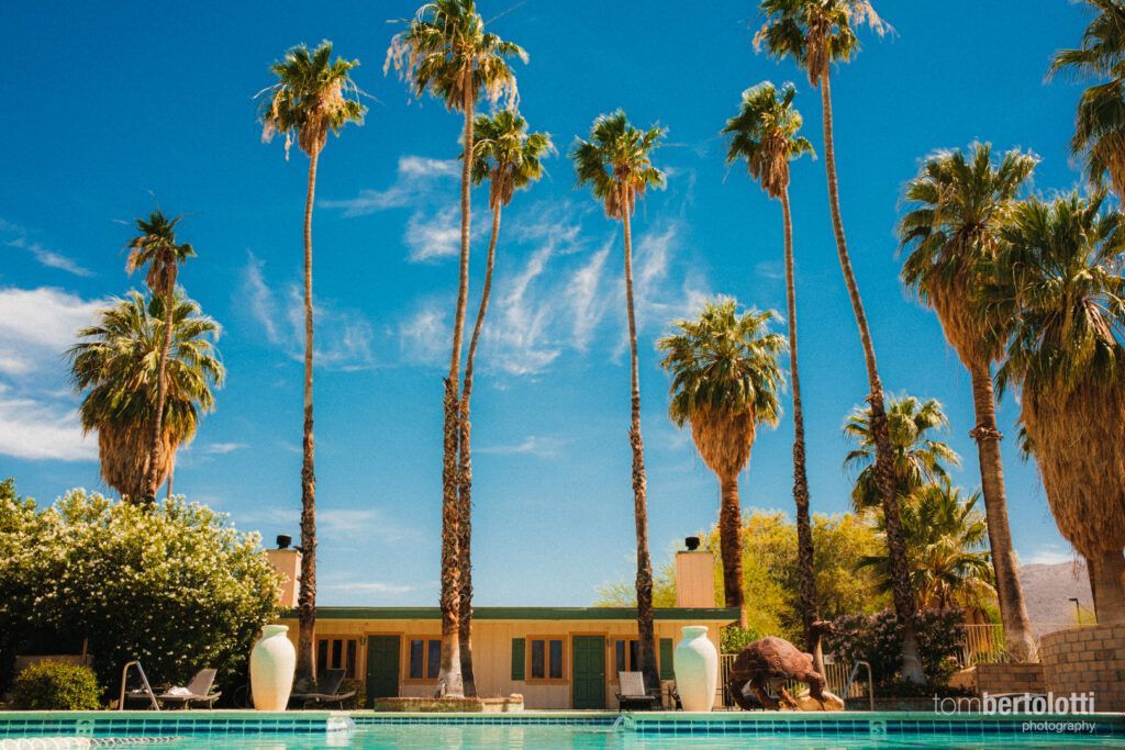 A row of palm trees surround a swimming pool in front of a house.