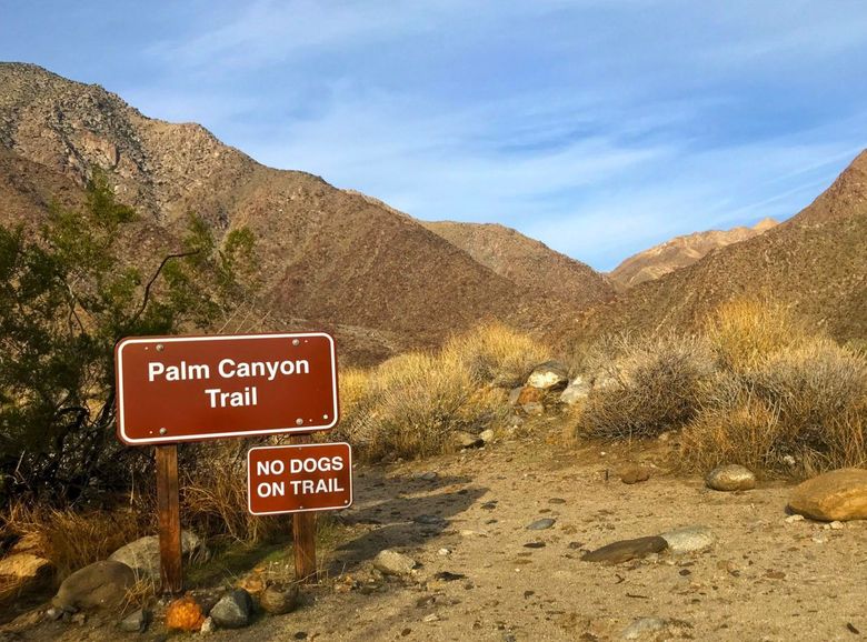 A palm canyon trail sign with mountains in the background