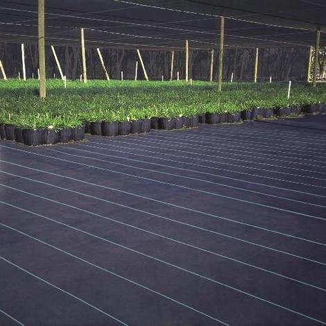 Bag Processors, Inc. - Ground Covers