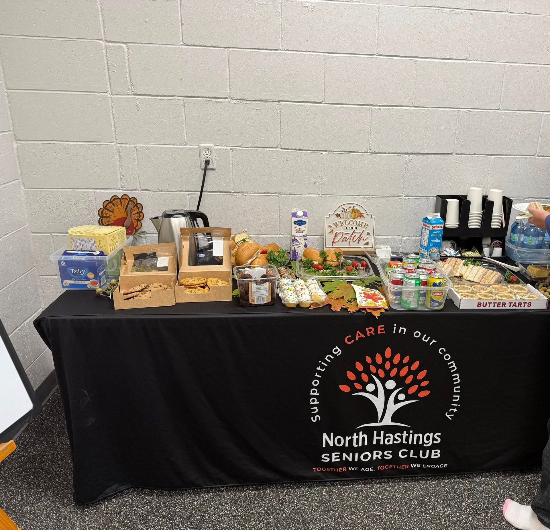 A person is using a vacuum cleaner in a living room.