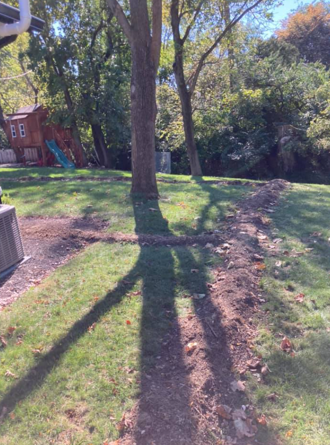 A Shadow Of A Tree Is Cast On The Grass In A backyard | Pickerington, OH | Drainco LLC