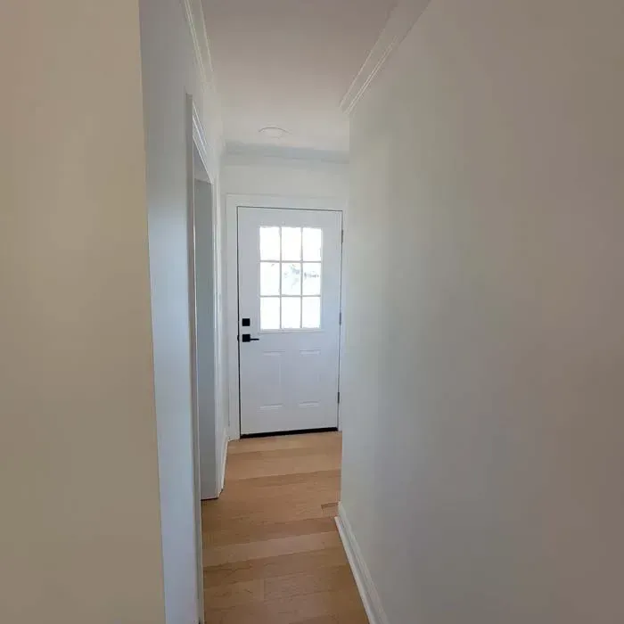 Hallway with white walls, wood floor, and door with glass panes at the end.