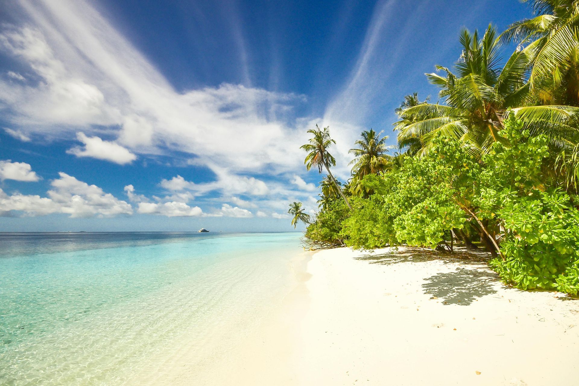 A tropical beach with palm trees and the sun shining through the clouds