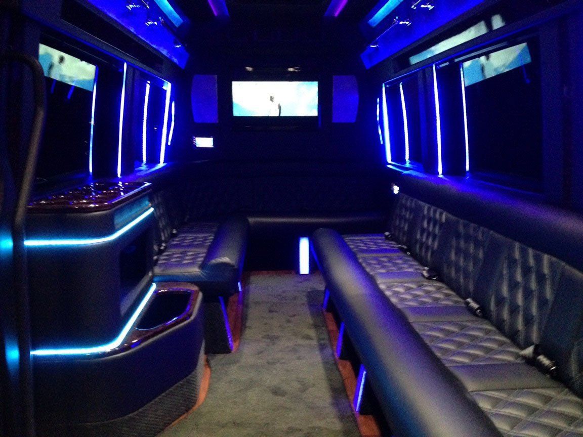Limo Interior Party Lights
