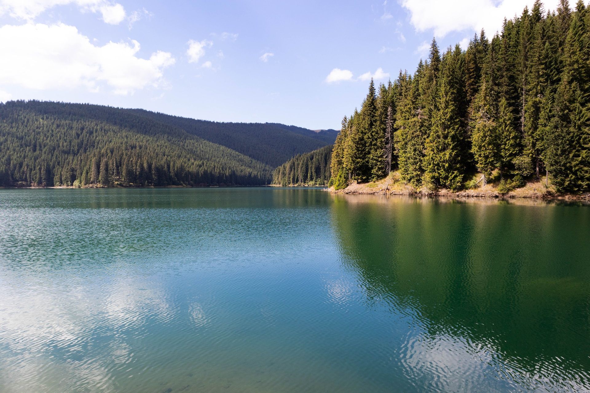 Landscape photo of a clear blue lake and forest of trees taken by the Canon M50