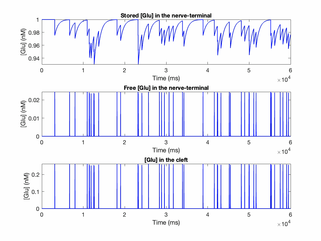 Brain-organ interactions