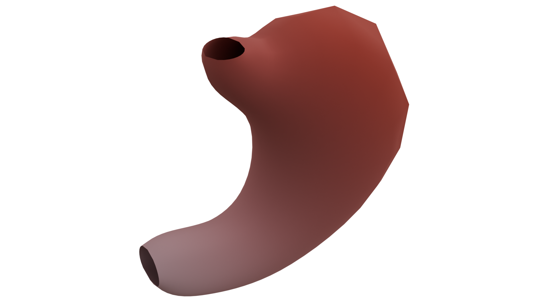 Biomechanics of visceral organs