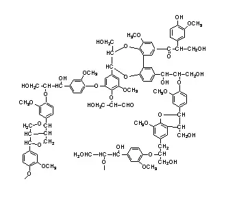 Complex chemical structure of lignin, a polymer found in plant cell walls.