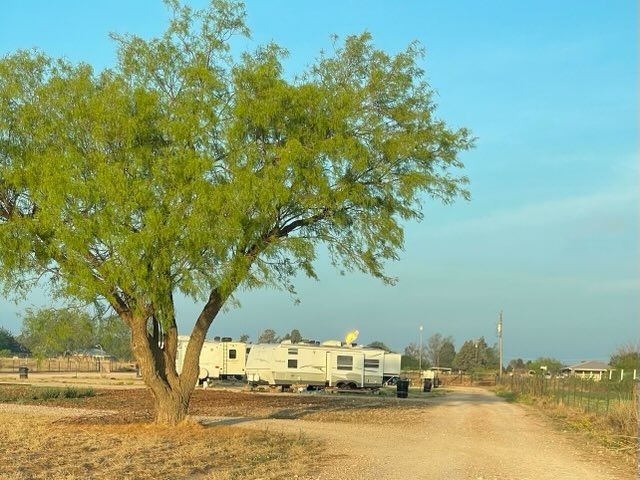 A campsite with a large green tree, trailer, and dirt road under a clear blue sky.