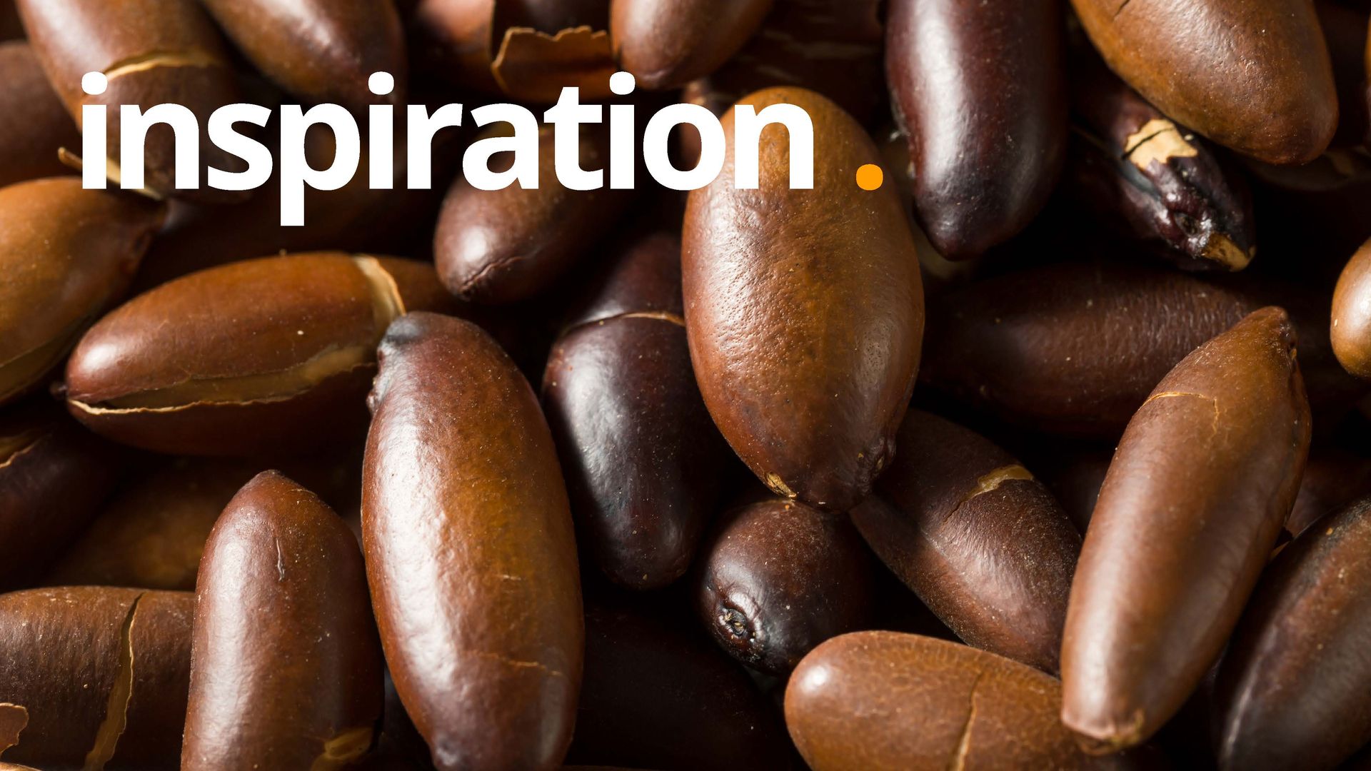 Close de sementes marrons, possivelmente nozes ou feijões, com a palavra